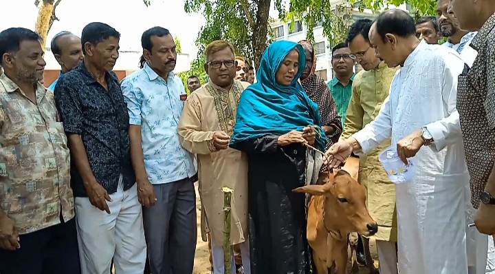 ফুলবাড়ীতে বিভিন্ন অসহায় মানুষদের মাঝে অর্থিক অনুদান ও গরু বিতরণ করা হয়েছে