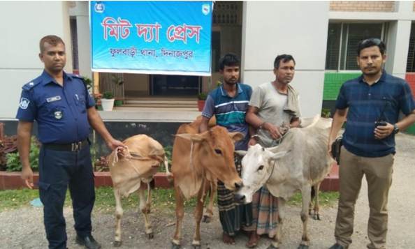 অভিযোগ পেয়ে অভিযানে নামলেন পুলিশ ৩ গরু উদ্ধার ও দুই চোরকে আটক