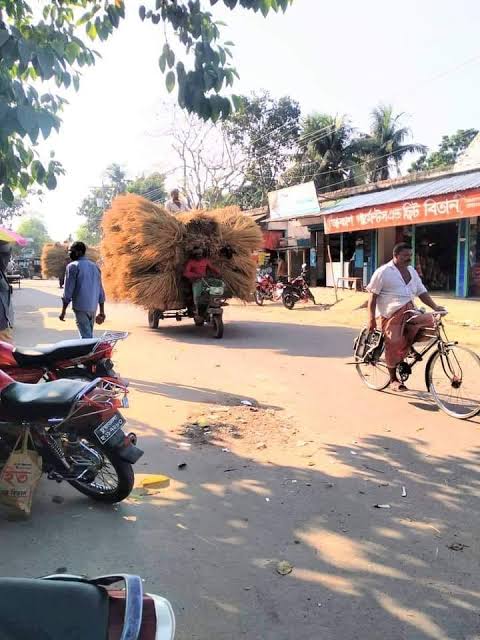 ভ্যান বোঝাই খড়ের উপরথেকে পরে গিয়ে গুরুতর আহত