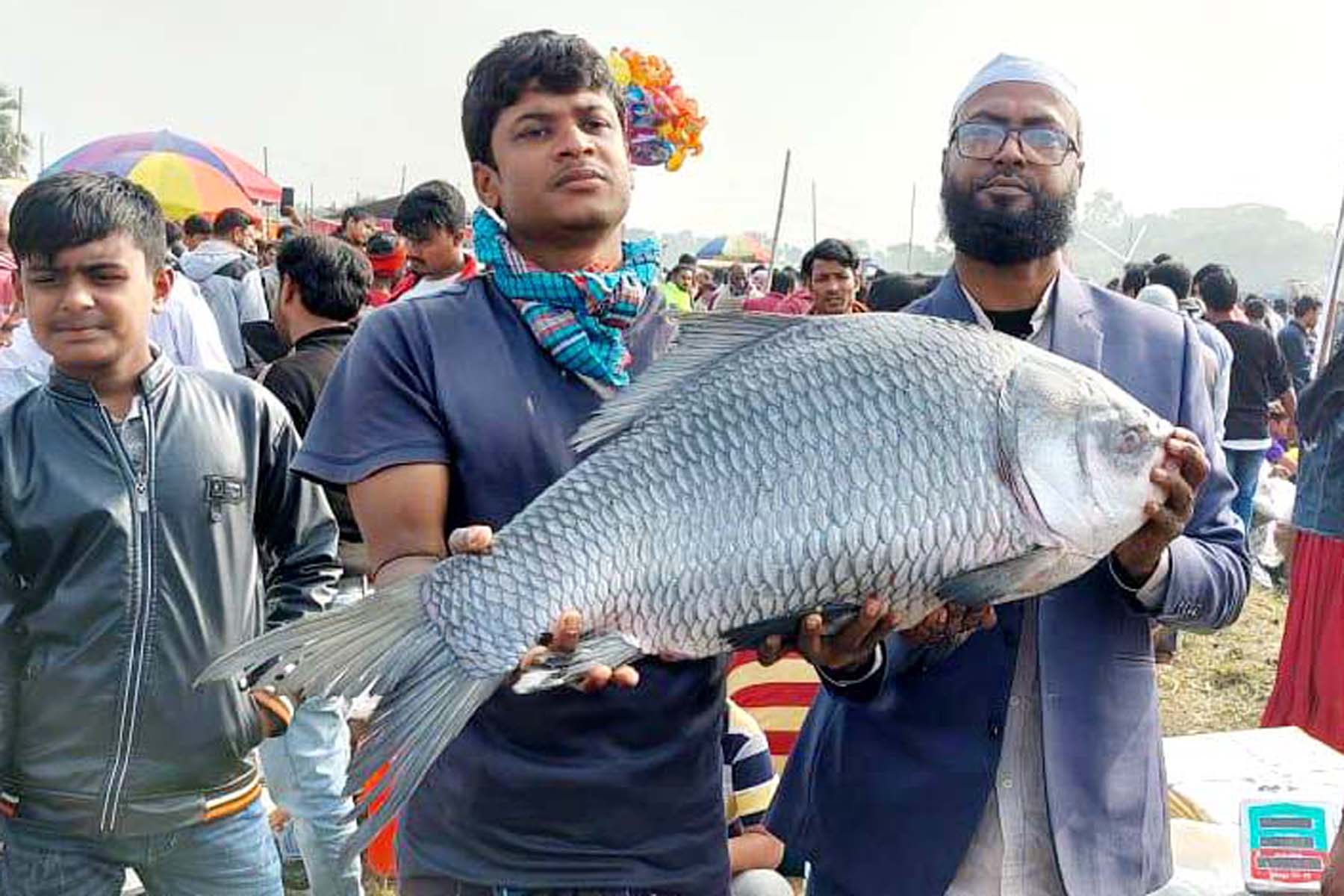 কালীগঞ্জে ঐতিহ্যবাহী মাছের জামাই মেলা অনুষ্ঠিত