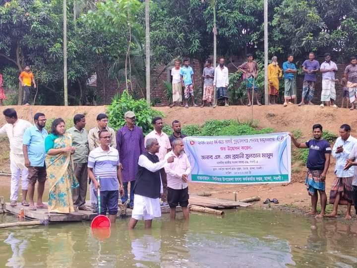 মান্দায় সরকারি পুকুরে পোনা মাছ অবমুক্ত করেন এমপি গামা