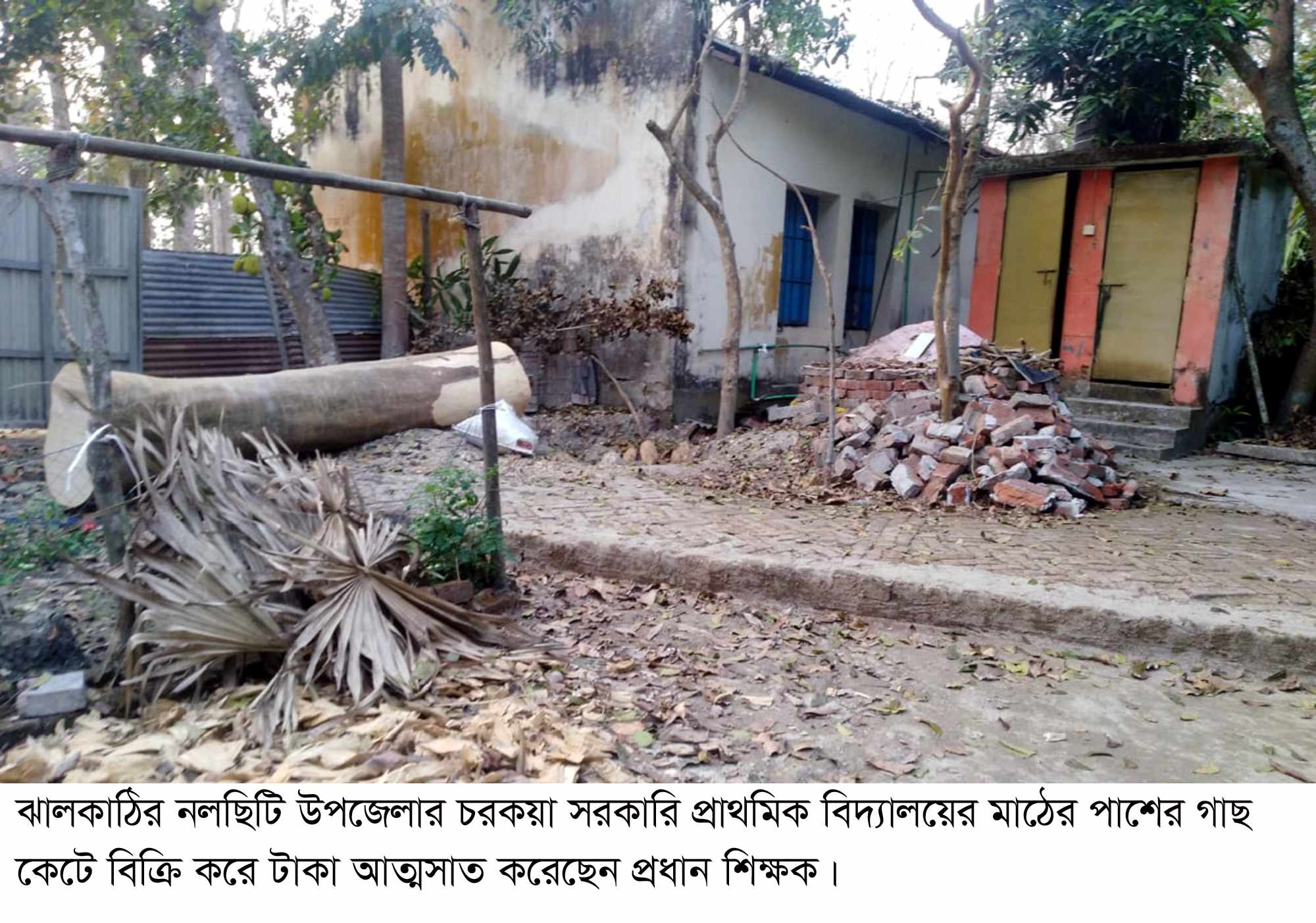 নলছিটিতে প্রধান শিক্ষকের বিরুদ্ধে অনিয়ম-দুর্নীতির অভিযোগ