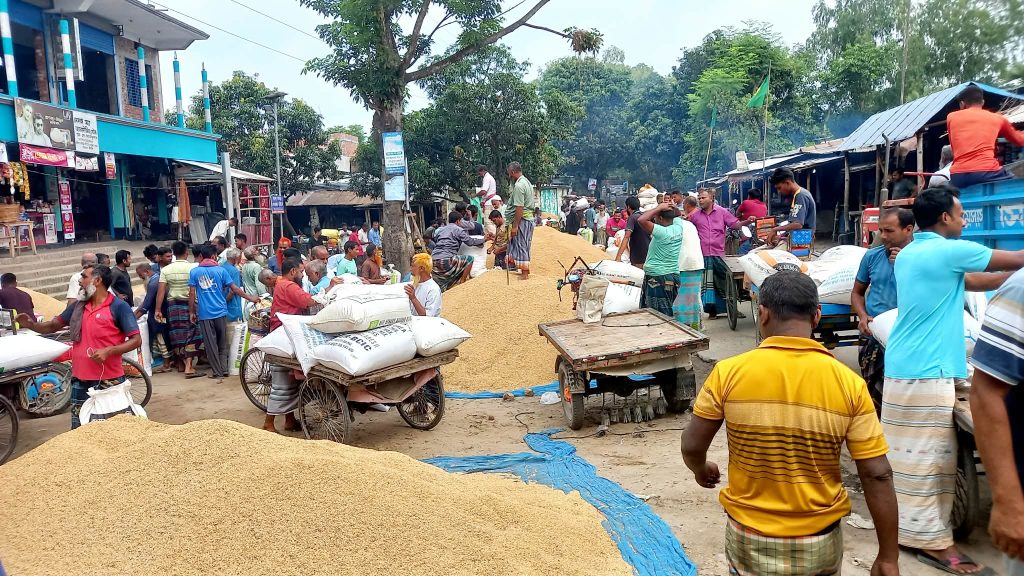 মান্দায় ধানের হাটে ‘৪১ কেজিতে মণ’, জিম্মি কৃষকেরা