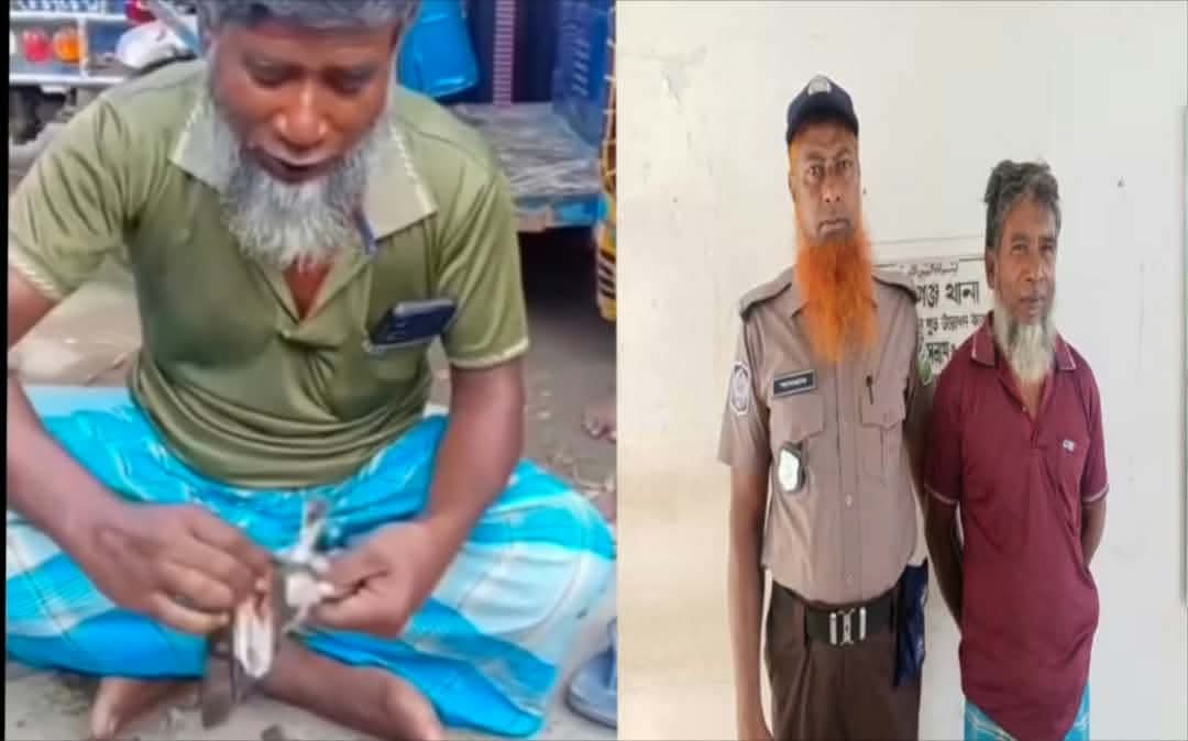 মাদারগঞ্জে ৫শ টাকা বাজিঁতে জীবন্ত পাখি ছিঁড়ে খাওয়ায় অটোচালক গ্রেপ্তার